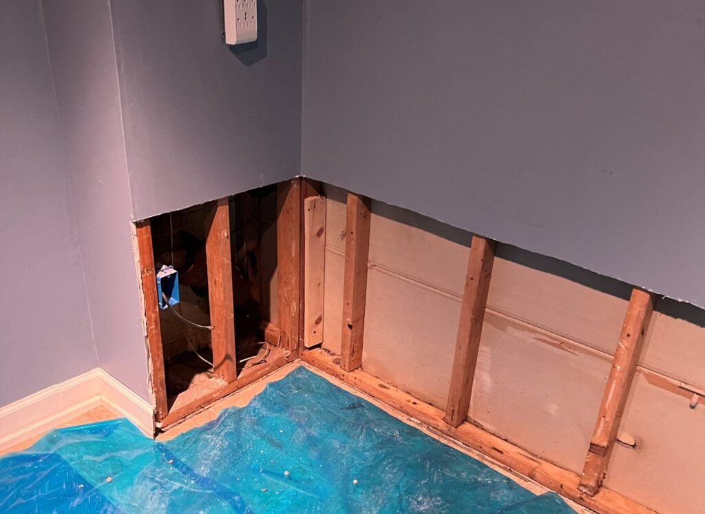 A room corner with blue walls and baseboards; drywall is removed up to about two feet, exposing wooden studs and electrical wiring. A blue tarp covers part of the floor.