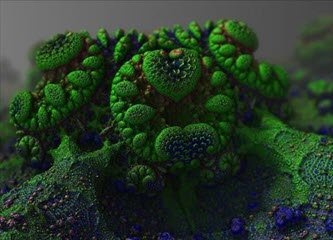 green mold spore close up jpg 1